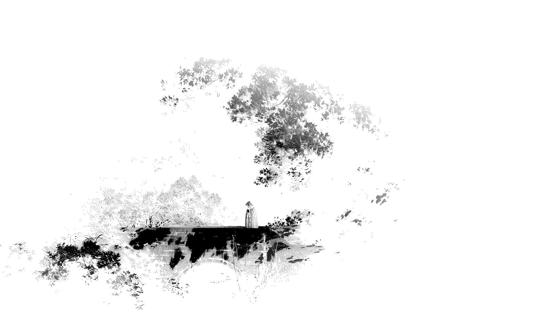 El monje